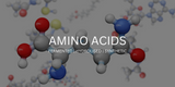 Amino Acids: Fermented vs Hydrolysed vs Synthetic