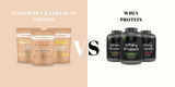 Plant Based Protein Vs Whey Protein: Which is Best for You?